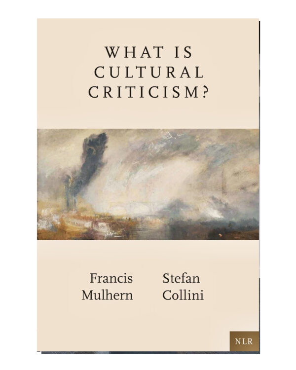 What Is Cultural Criticism?  (English, Paperback, Mulhern Francis)