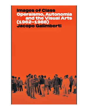 Images of Class  (English, Paperback, Galimberti Jacopo)