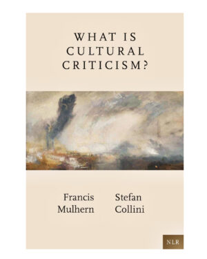 What Is Cultural Criticism? by Francis Mulhern (Author), Stefan Collini (Author)