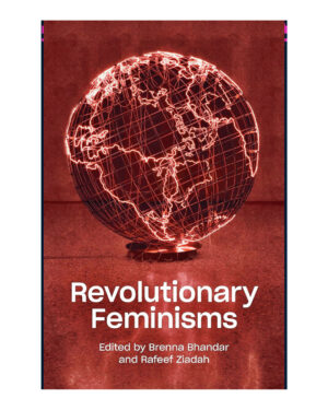 Revolutionary Feminisms: Conversations on Collective Action and Radical Thought by Brenna Bhandar (Author), Rafeef Ziadah (Author)