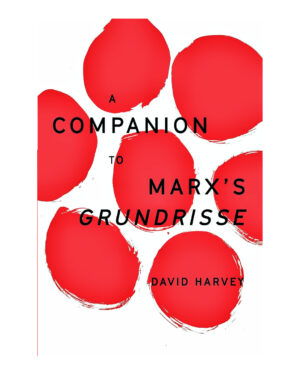 A Companion to Marx's Grundrisse by David Harvey (Author)